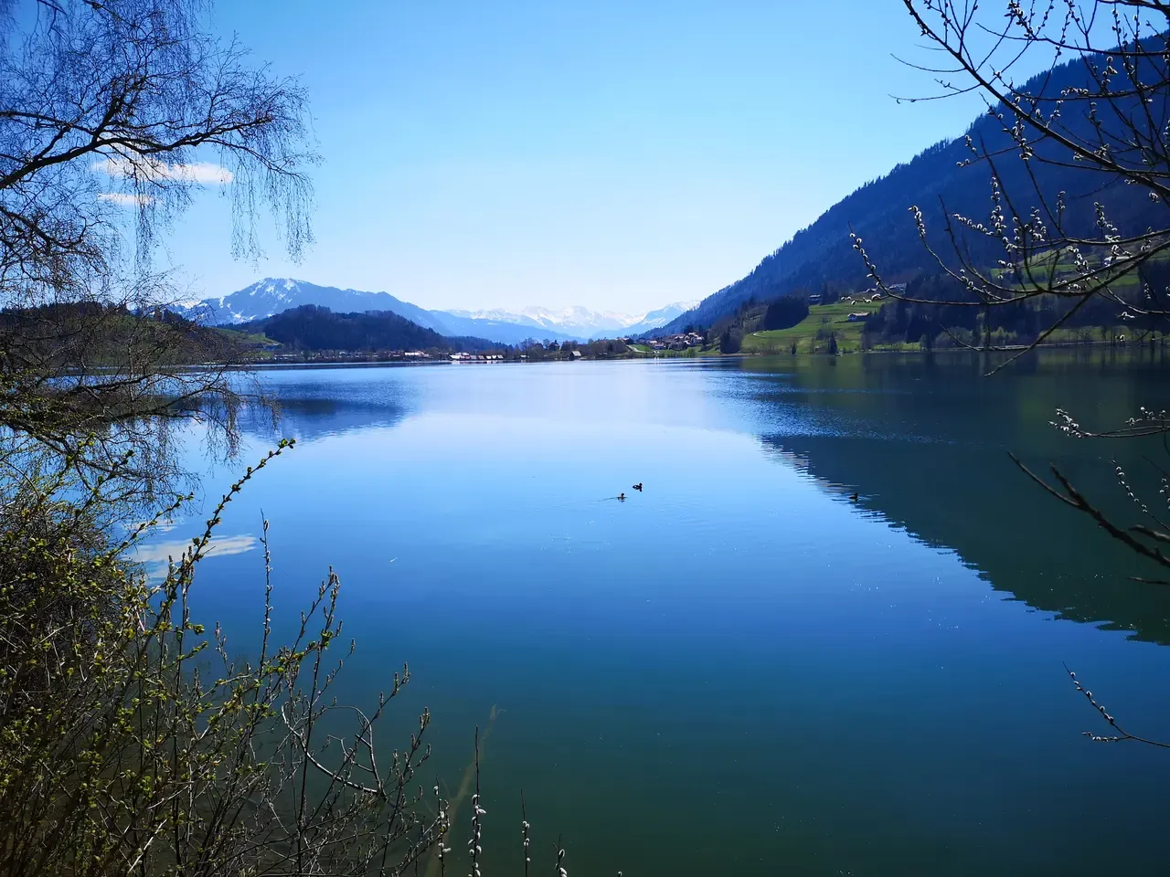 Alpsee